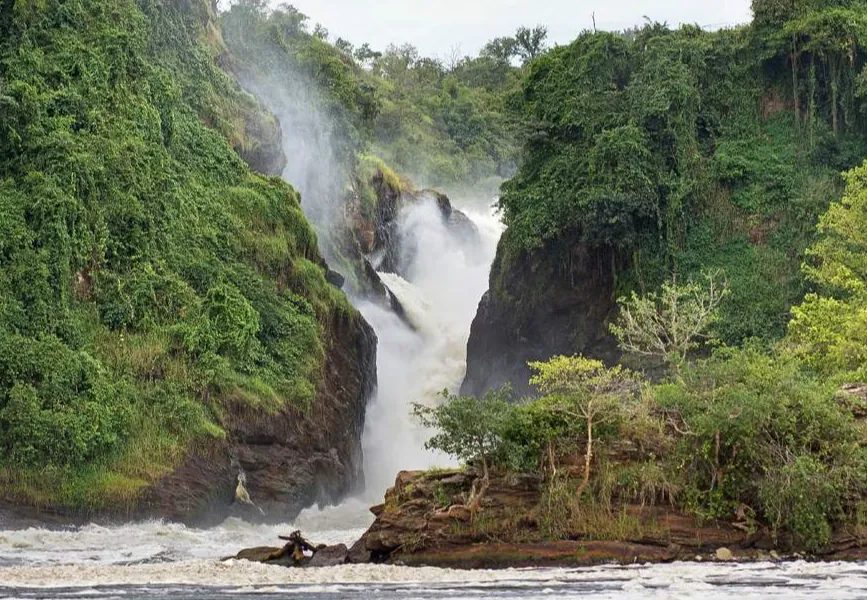 Murchison Falls pouring through green forest